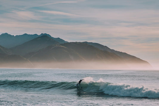 What we can learn about shark mitigation from Workplace Health and Safety