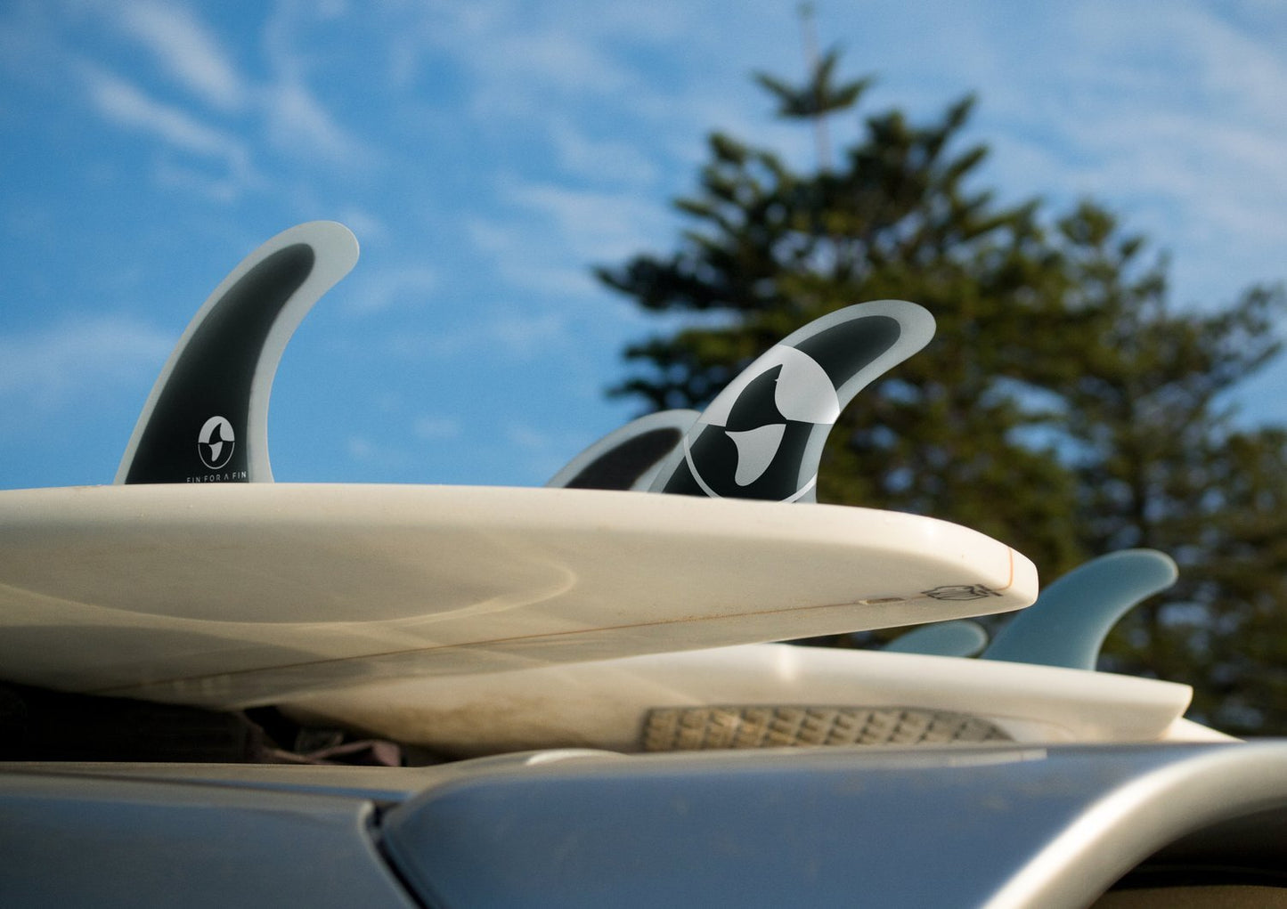 Fin for a Fin - sharkstop.co