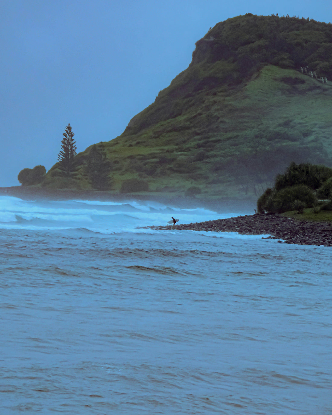 Beyond the Lineup: The Science of Thriving in Winter Swells - sharkstop.co