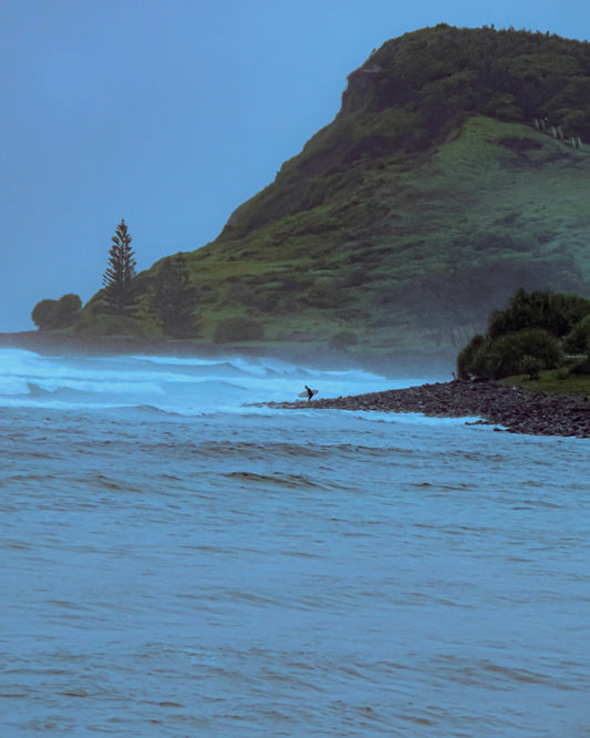 Beyond the Lineup: The Science of Thriving in Winter Swells - sharkstop.co