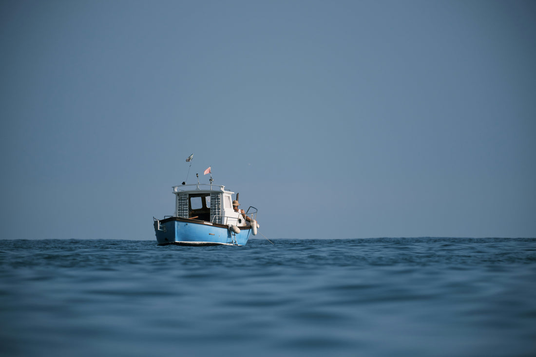 Can We Find Sharks Just by Sampling the Water? New Study Puts eDNA to the Test - sharkstop.co