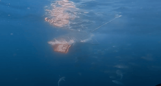 How Shark Stop Wetsuit Fabric Was Tested: Behind the Science - sharkstop.co