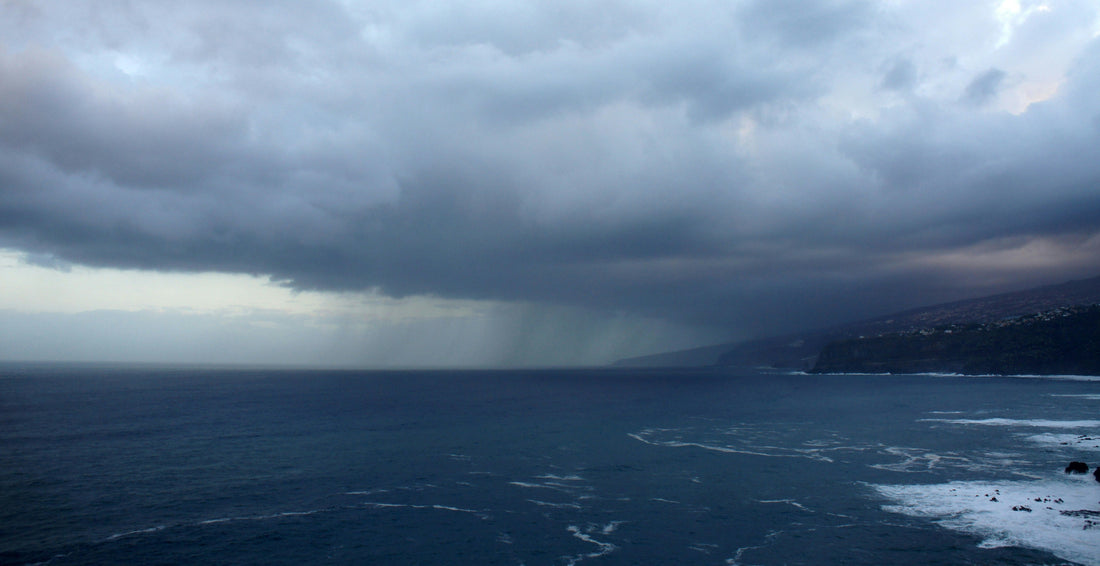 Humans Can Smell Rain Better Than Sharks Can Smell Blood?! - sharkstop.co