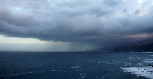 Humans Can Smell Rain Better Than Sharks Can Smell Blood?! - sharkstop.co