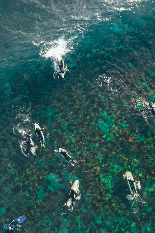 The Reef Tax: Performance Protection for Consequence Surfing - sharkstop.co