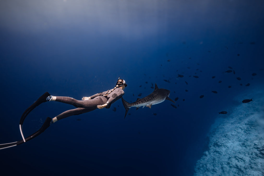 The Science of Stealth: Why Contrast and Mid-Water Visibility Matter Most - sharkstop.co