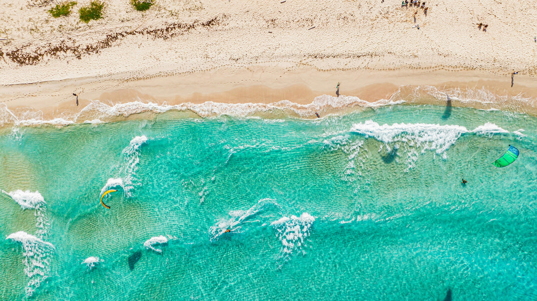 Why Are We Seeing More Sharks in Australian Waters? What the Science Actually Says - Shark Stop