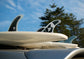 Fin for a Fin - sharkstop.co